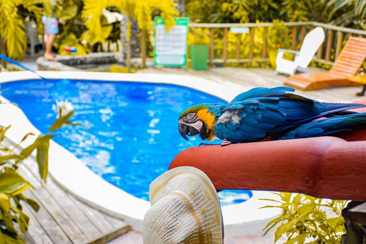 Casa Hostal Villa Del Rio El Zaino Luaran gambar
